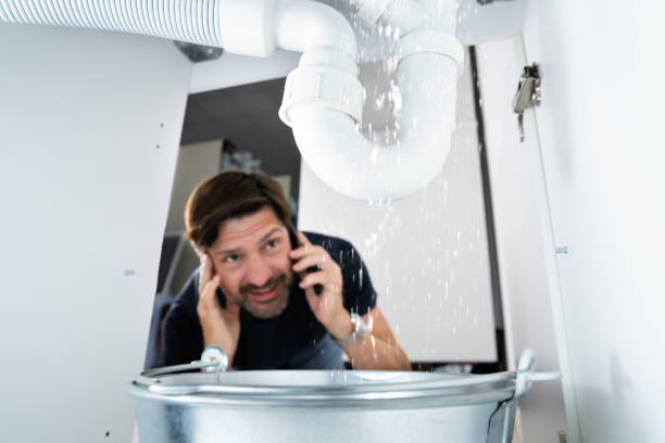 Best Shower Repair Services  in Cleveland, MS